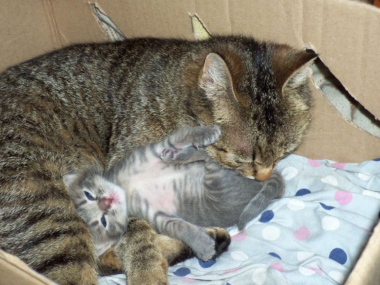 Удачный кадр .