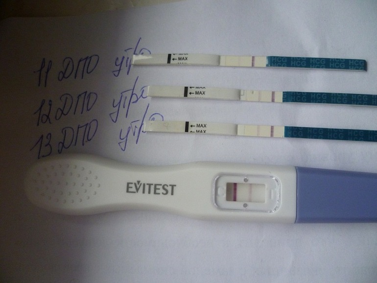 Тест положительный узи не видно. Беременность на УЗИ до задержки. Тест на беременность УЗИ. УЗИ беременности до задержки месячных. Беременность 2 недели до задержки УЗИ.