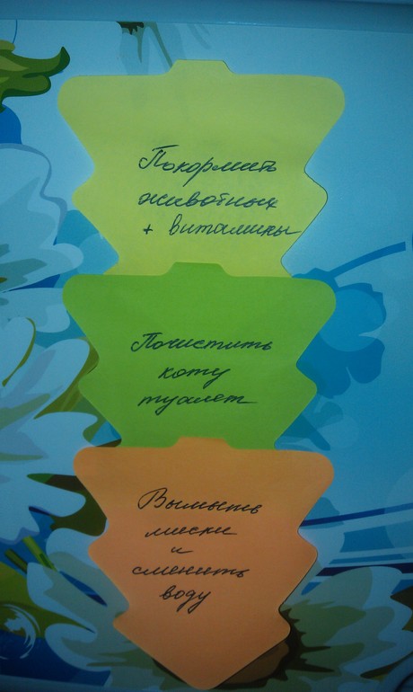 Взлет 72. День 1.