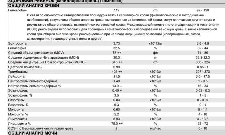 Содержание сегментоядерных нейтрофилов в норме. Содержание сегментоядерных нейтрофилов в норме