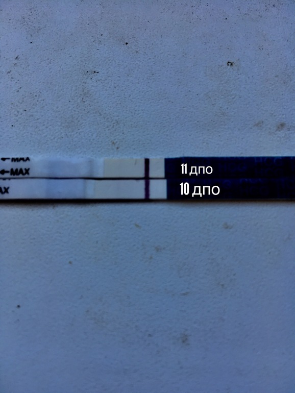 9 дпо тест на беременность отрицательный форум фото