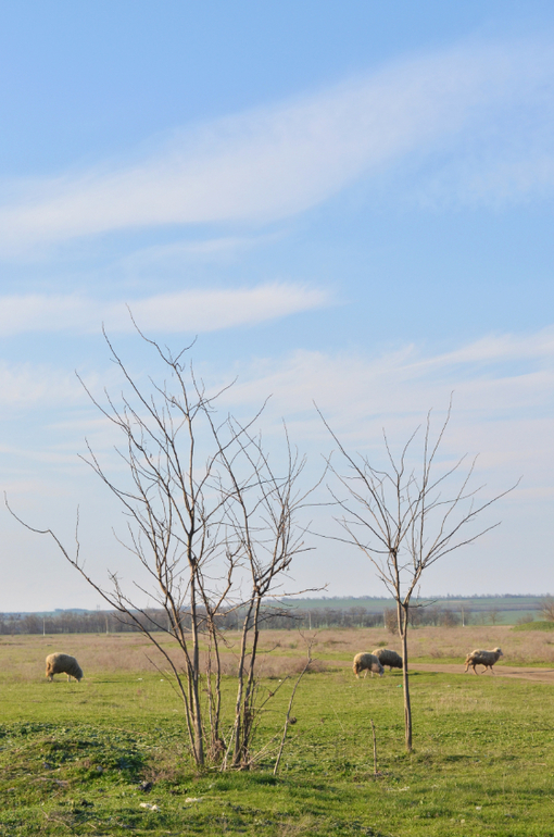 Моя малая Родина..