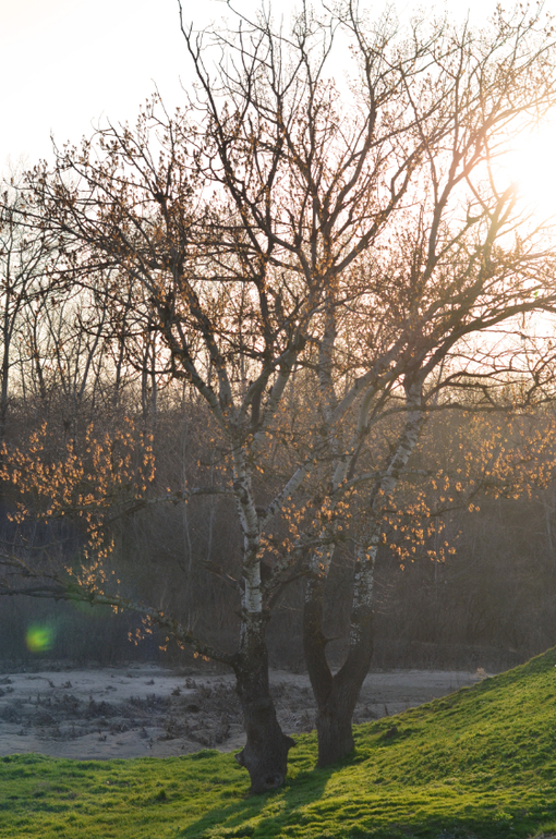 Моя малая Родина..