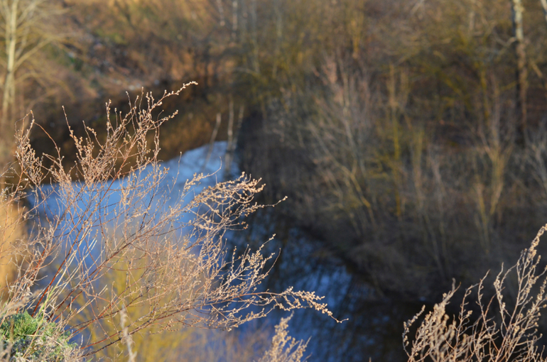 Моя малая Родина..