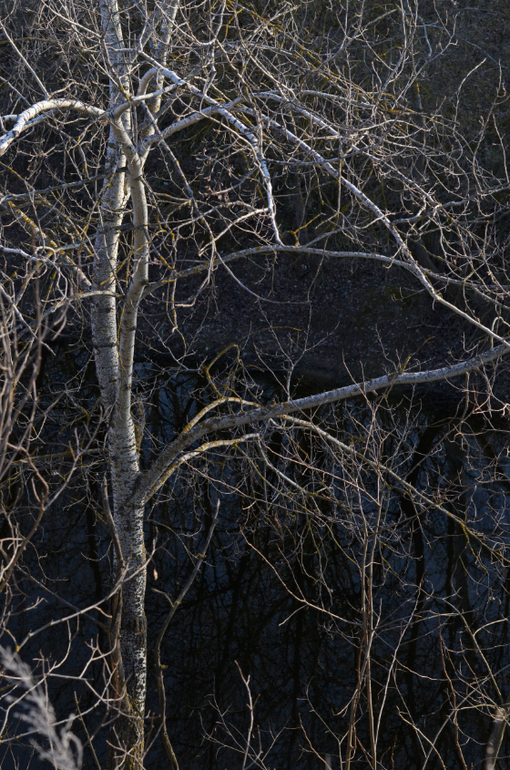 Моя малая Родина..