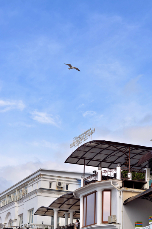 Севастополь,1 июня.