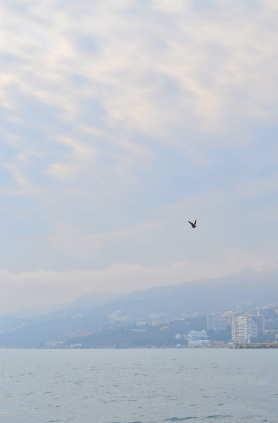 Ялта,набережная,февраль)