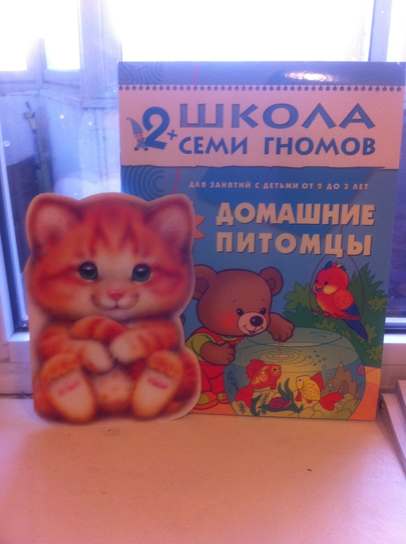 Подарок от Феи
