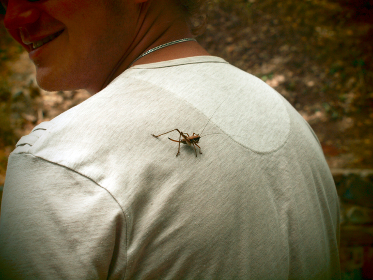 Что посмотреть на Кипре. Кедровая долина