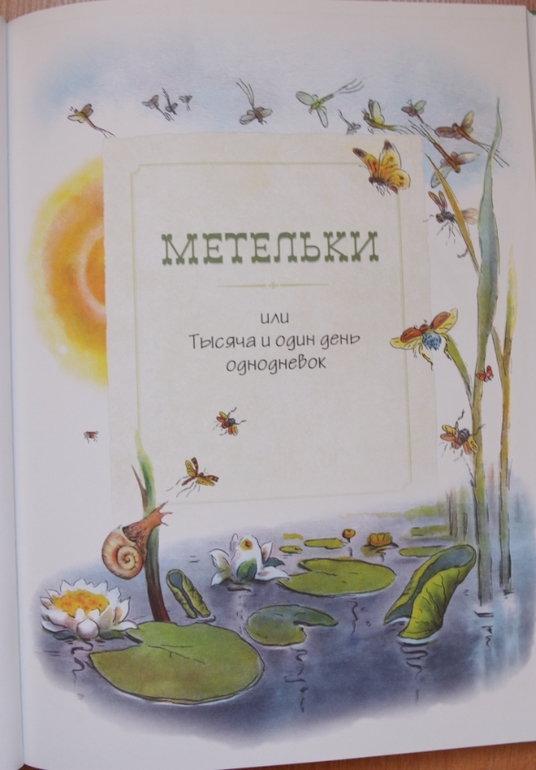 Репортаж со стадиона