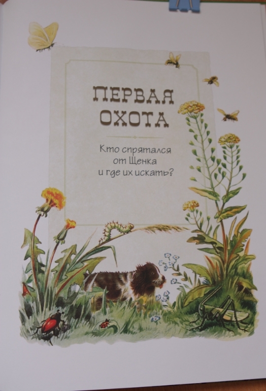 Репортаж со стадиона