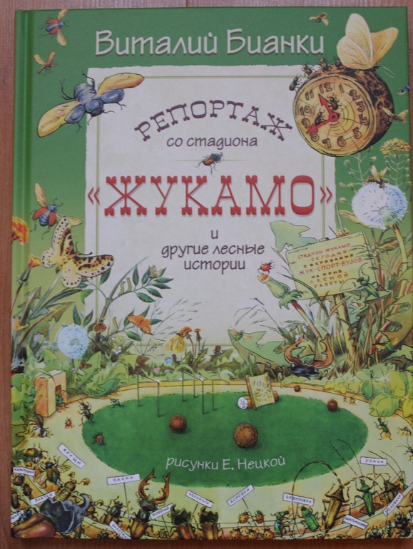 Репортаж со стадиона