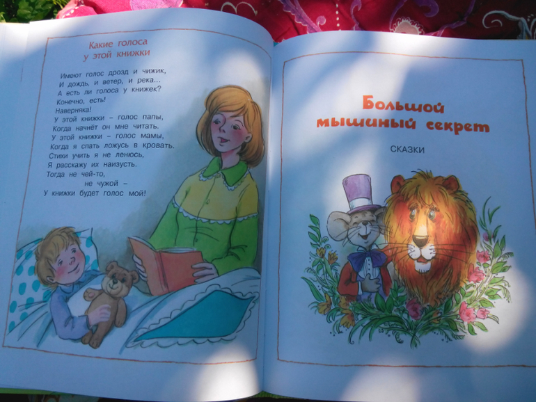 Махаоновское чтиво для двух с копейками