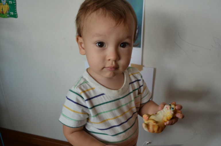 ТН домашние животные Кошка