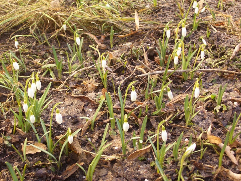 9 марта Юрию Гагарину исполнилось бы 80 лет...