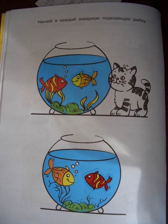 Какой ответ верный?