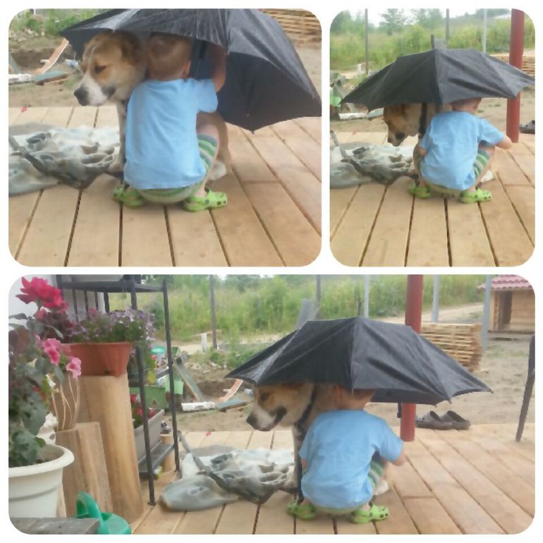 Мир-Дружба-Жвачка)♥♥♥