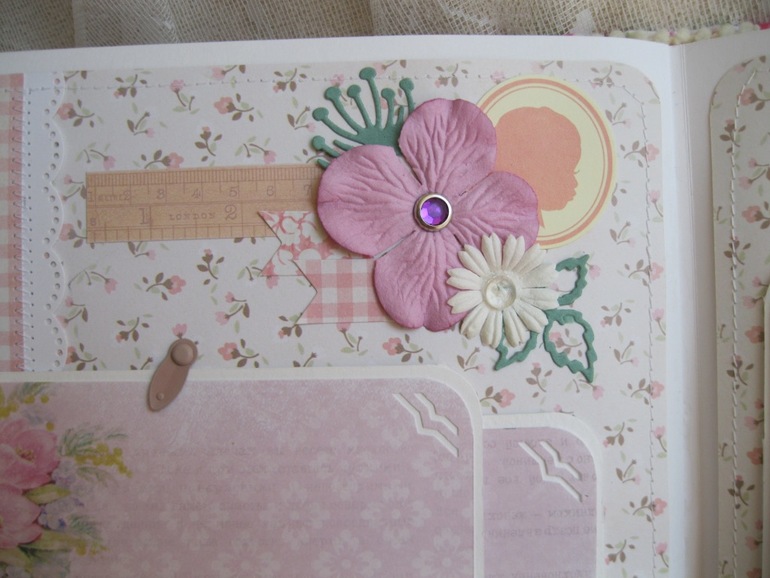 Альбом для девочки Алины...