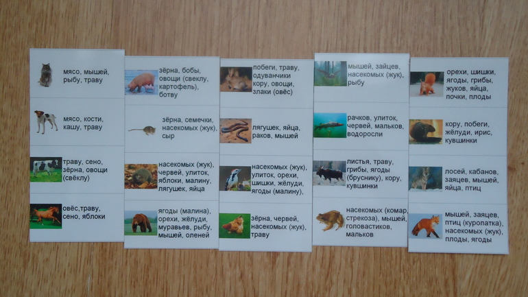 Кто что ест (2 игры+ материал)