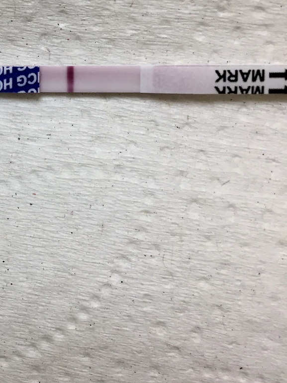 фрау отрицательный. фраутест или эвитест. фраутест положительный. эви тест и фрау. фрау отрицательный.