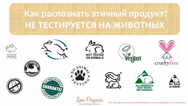 Тестирование косметики на животных презентация