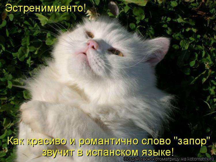 блаженство...