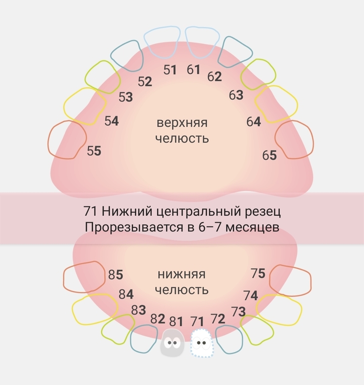 Во сколько месяцев первый зуб у ребенка. Первый зубик у Дочки.