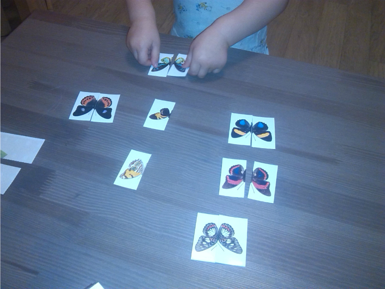 Времена года. Лето.