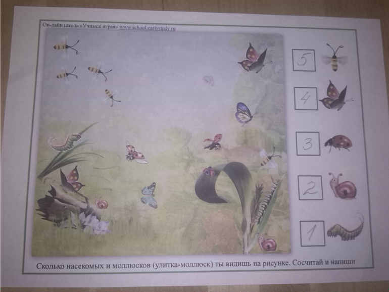 Времена года. Лето.