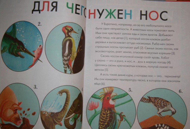 Книги: купленные мной, подаренные на ДР