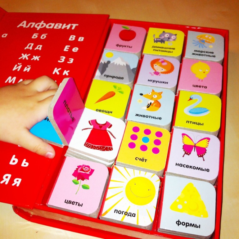 Книжки игрушки-картонки. 1 год и 5 месяцев.