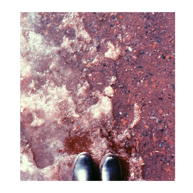 Home, sweet home. 25 марта. Меня раздражает...