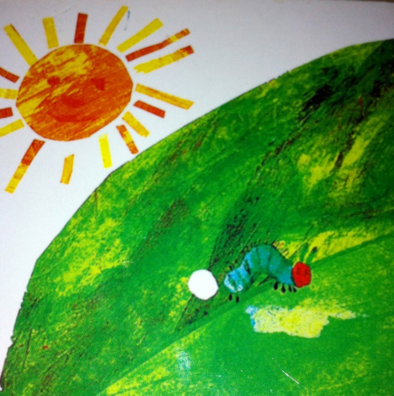 Книжки игрушки-картонки. 1 год и 5 месяцев.