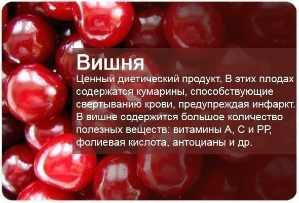 Наши Друзья рядом! Витаминизируемся!