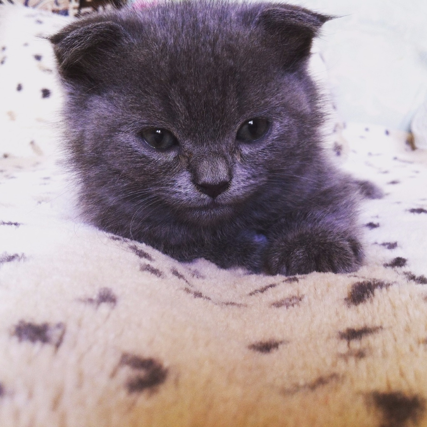 наш младшенький) Марк