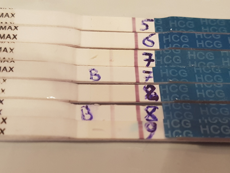 Второй криоперенос. 8 ДПП призрак на тесте. 5 ДПП тест. Тест после переноса 5. Криоперенос призрак на тесте.