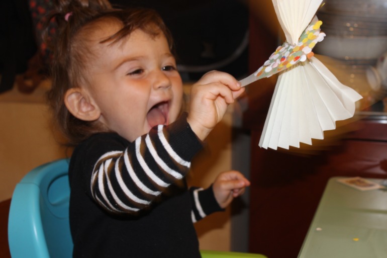 Птичья неделя. Много фото