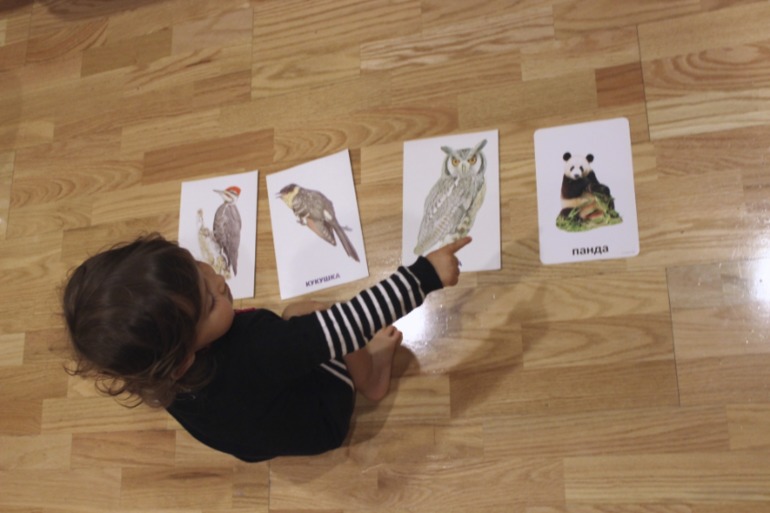 Птичья неделя. Много фото — 8 ответов | форум Babyblog