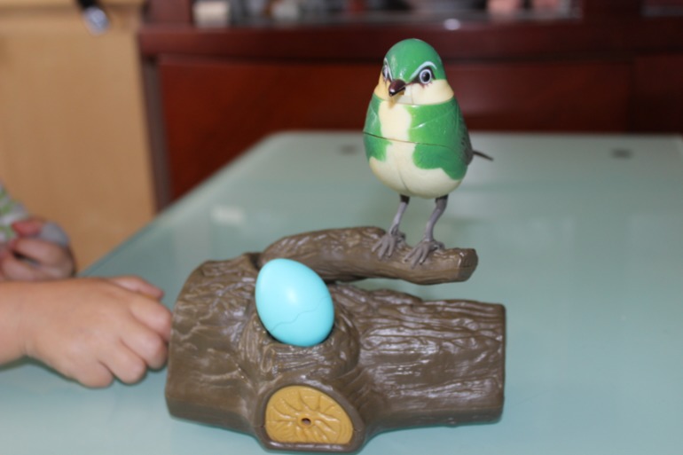 Птичья неделя. Много фото