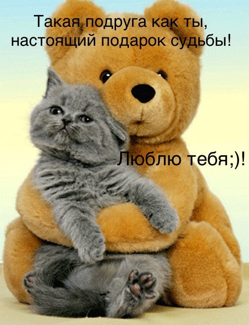 4806ffd57e189880069065f2cb9cb3cf.jpg