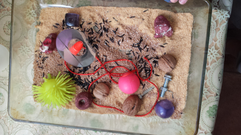 Космос. День 3.