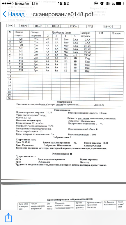 Эмбриологическая карта расшифровка