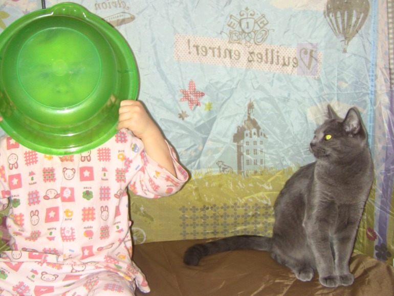db08cbff0e1e20fc7f8018e67153e84e.jpg