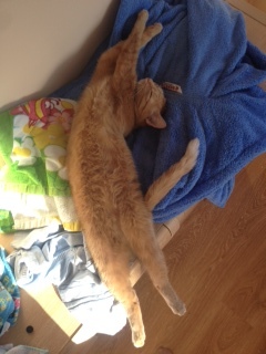 Взлет 72 день 6