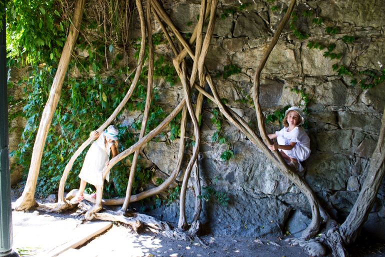 Нимфы в Алупкинском саду. Воронцовский парк