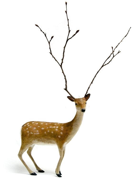 Живые куклы Kyoko Okubo