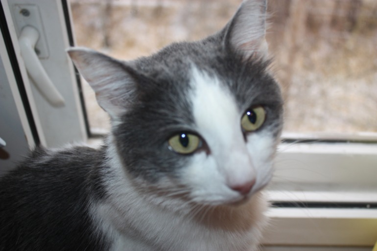 И наш один день!