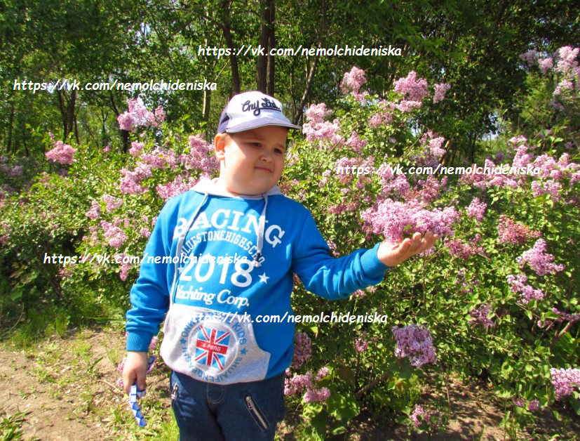 Картинка