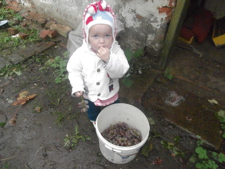 Мы не потерялись, мы затаились...
