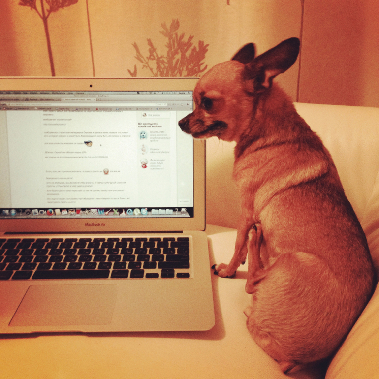 Вот оно наше новое чудо расчудесное!!!!!!